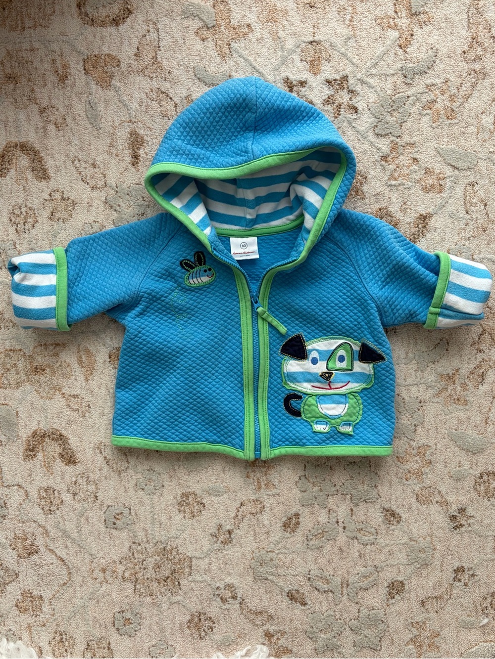 Y2K Hanna Andersson Puppy Appliqué Green & Striped Trim Zip Up Hoodie